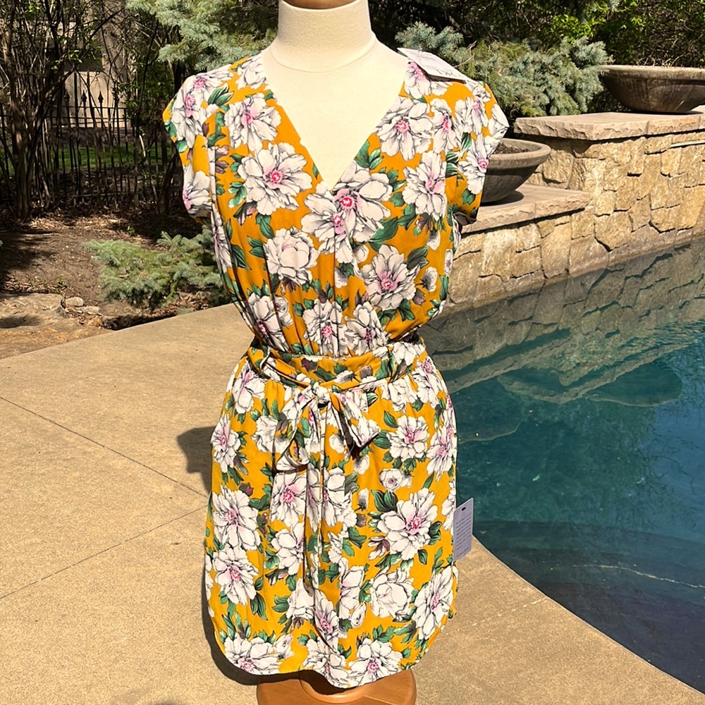 DR2 by Daniel Rainn Floral Dress NWT